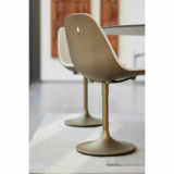 Joli-marguerite-central1