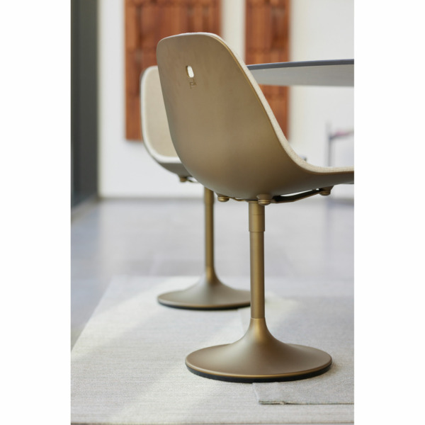 Joli-marguerite-central1