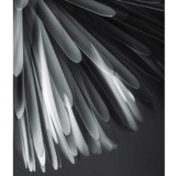 Sun-Light-of-Love---bianca-(04)