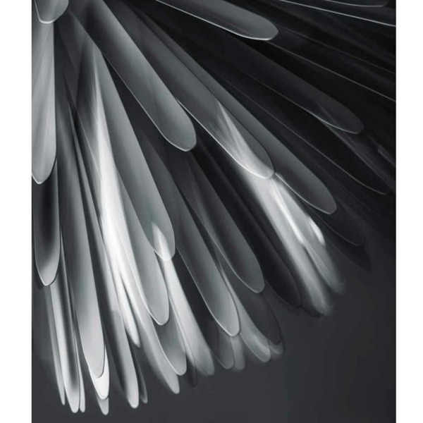 Sun-Light-of-Love---bianca-(04)