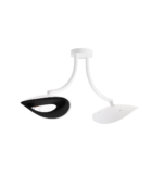 soffitto_doppia-bianco-nero