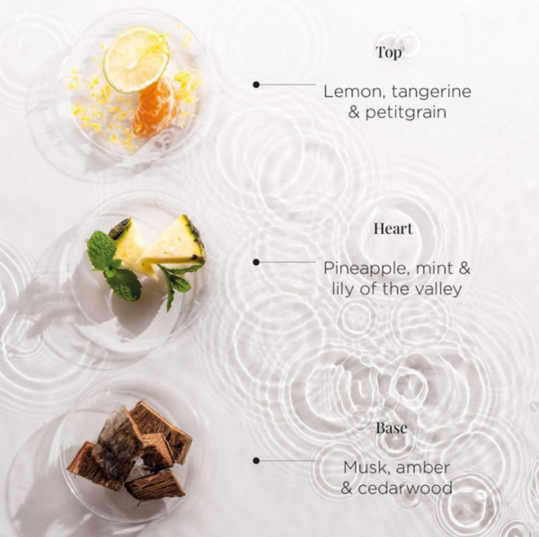 Capture d’écran 2022-11-29 à 21.28.26