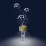 Lampe de table Fleur Foscarini