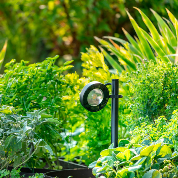 platek_frog_bollard_11