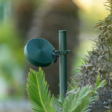 platek_frog_bollard_22