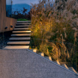 platek_frog_floodlight_03