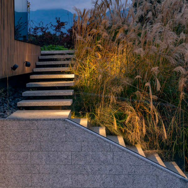 platek_frog_floodlight_03