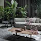 Peanut-B.X._Kumo-(1)