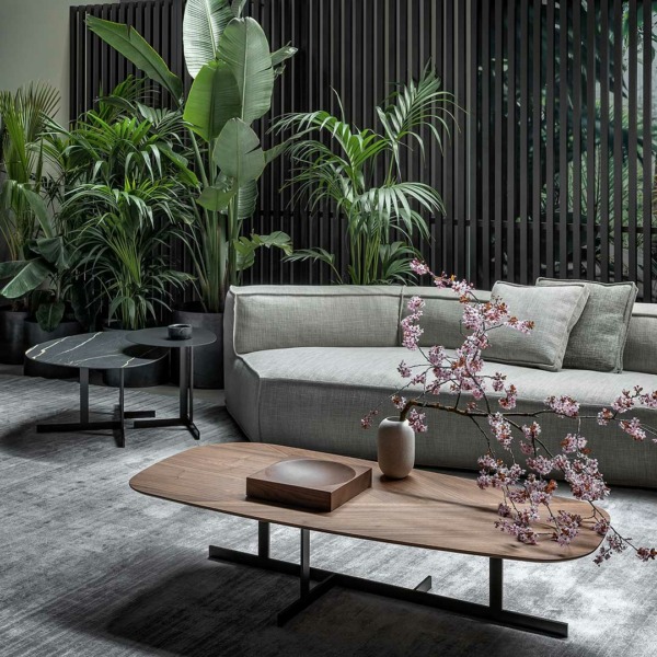 Peanut-B.X._Kumo-(1)