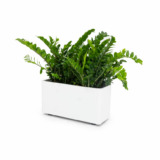 Tuuci_jardiniere_highland_web_wide-Mainland-Garden-Planter-IMG1-834x626