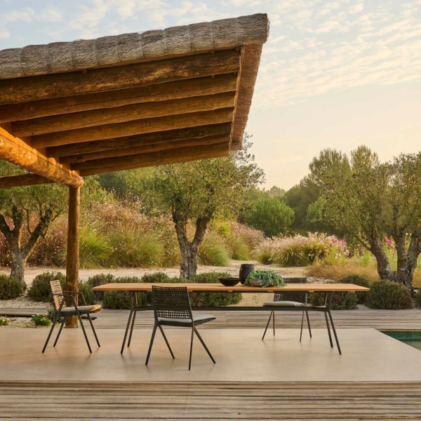 table_branch_tribu4