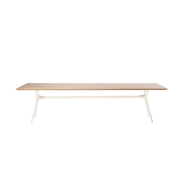table_branch_tribu6