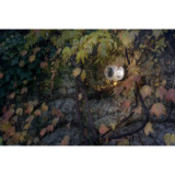 platek_rippling_applique_12